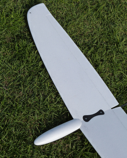 /files/df-libelle/Dream Flight Libelle smooth wing.png